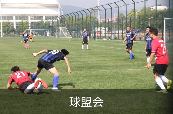 球盟会概况